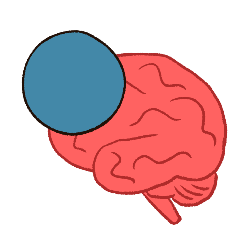 A drawing of a blue circle in front of a brain.